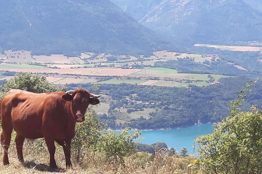 Casa vacanze Maison Dans Les Alpes - Les 12 Sommets